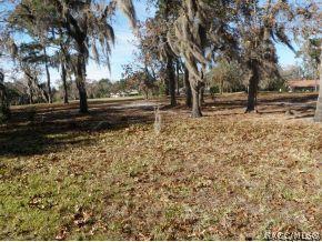 785 E Keller Ct, Hernando, FL 34442 photo 19