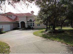 446 W Britain St, Hernando, FL 34442 photo 1