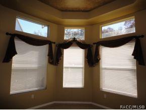 446 W Britain St, Hernando, FL 34442 photo 8