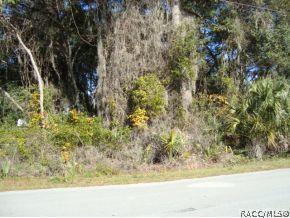 4571 E Harvard, Hernando, FL 34442 photo 16