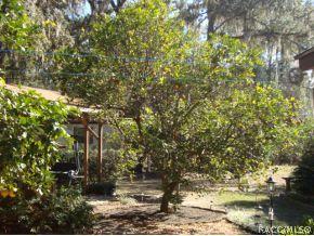 4571 E Harvard, Hernando, FL 34442 photo 7
