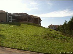 1832 N Eagle Chase, Hernando, FL 34442 photo 19