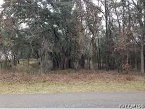 685 W Keller, Hernando, FL 34442 photo 1