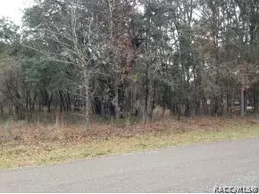 685 W Keller, Hernando, FL 34442 photo 2