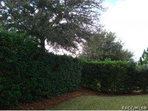 2136 N Lakecrest Loop, Hernando, FL 34442 photo 23