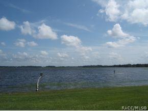 2545 N Bucknell Ter, Hernando, FL 34442 photo 17