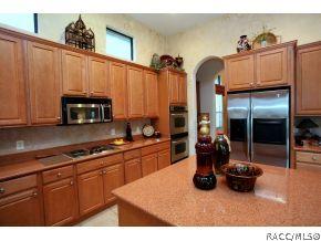 1206 W Double Eagle Ct, Hernando, FL 34442 photo 6