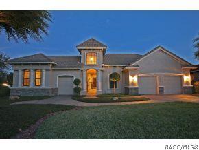1206 W Double Eagle Ct, Hernando, FL 34442 photo 1