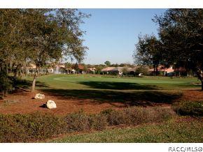 1206 W Double Eagle Ct, Hernando, FL 34442 photo 3