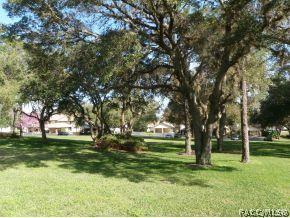 175 E Hartford Bldg 8 St #7A, Hernando, FL 34442 photo 18