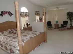 435 E Keller Ct, Hernando, FL 34442 photo 16