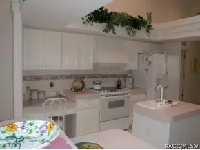 435 E Keller Ct, Hernando, FL 34442 photo 9