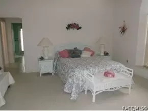 435 E Keller Ct, Hernando, FL 34442 photo 14