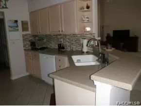 701 E Falconry Ct, Hernando, FL 34442 photo 13