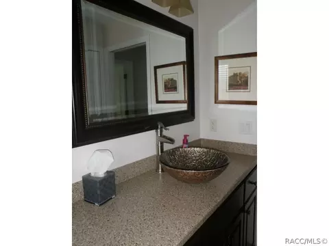701 E Falconry Ct, Hernando, FL 34442 photo 15