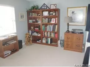 701 E Falconry Ct, Hernando, FL 34442 photo 14
