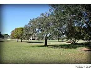 579 E Ireland Ct, Hernando, FL 34442 photo 4
