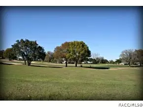 579 E Ireland Ct, Hernando, FL 34442 photo 6