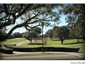 579 E Ireland Ct, Hernando, FL 34442 photo 8
