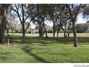 243 E Keller, Hernando, FL 34442 photo 12