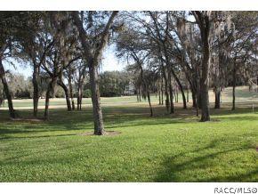 243 E Keller, Hernando, FL 34442 photo 13