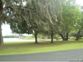 4542 N Serene Pt, Hernando, FL 34442 photo 18