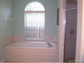 4542 N Serene Pt, Hernando, FL 34442 photo 10
