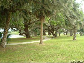 4542 N Serene Pt, Hernando, FL 34442 photo 22