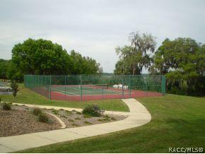 4542 N Serene Pt, Hernando, FL 34442 photo 21