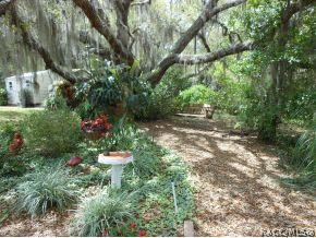 601 E Buckingham, Lecanto, FL 34461 photo 22