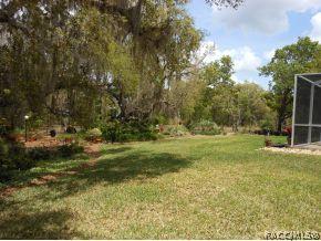 601 E Buckingham, Lecanto, FL 34461 photo 23