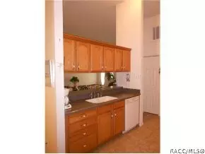 6654 N Silverbell Ter, Hernando, FL 34442 photo 4