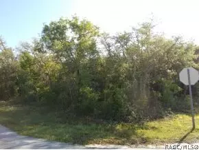 1065 E La Salle St, Hernando, FL 34442 photo 2