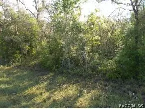 1065 E La Salle St, Hernando, FL 34442 photo 3