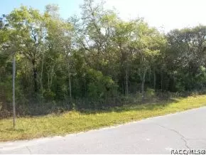 1065 E La Salle St, Hernando, FL 34442 photo 1
