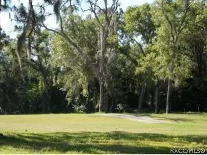 493 E Liberty, Hernando, FL 34442 photo 5