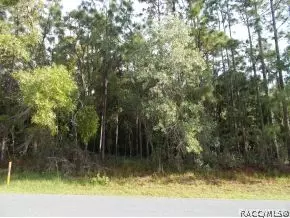 493 E Liberty, Hernando, FL 34442 photo 2