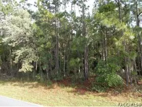 493 E Liberty, Hernando, FL 34442 photo 1