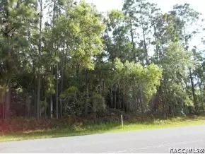 493 E Liberty, Hernando, FL 34442 photo 3