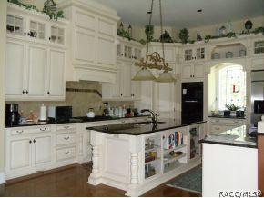 3501 N Grayhawk Loop, Lecanto, FL 34461 photo 12