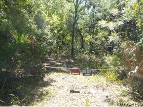11190 N Nighthawk Ter, Inglis, FL 34449 photo 3