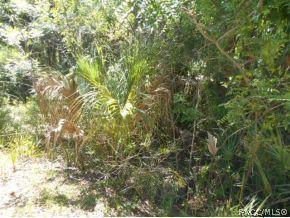 11190 N Nighthawk Ter, Inglis, FL 34449 photo 2
