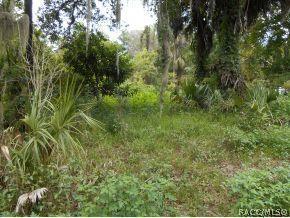 11190 N Nighthawk Ter, Inglis, FL 34449 photo 1