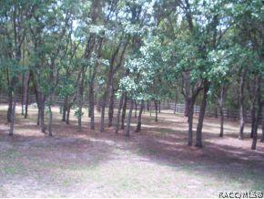 1388 W Tacoma St, Hernando, FL 34442 photo 17