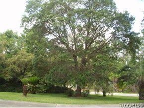 1388 W Tacoma St, Hernando, FL 34442 photo 18