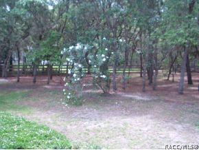 1388 W Tacoma St, Hernando, FL 34442 photo 16