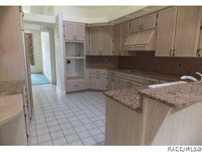 3628 N Pine Valley Loop, Lecanto, FL 34461 photo 9