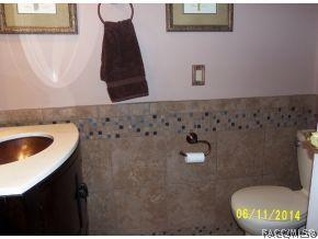 540 Epsom Ct, Hernando, FL 34442 photo 17