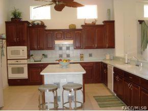 1048 W Lake Valley Ct, Hernando, FL 34442 photo 7