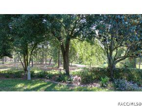 3675 N Pine Valley Loop, Lecanto, FL 34461 photo 14